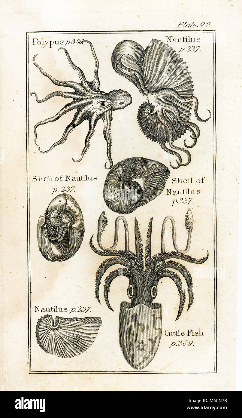 1792. Exlibris von Vol. II der Naturgeschichte von Comte de Buffon (georges-louis Leclerc) Stockfoto