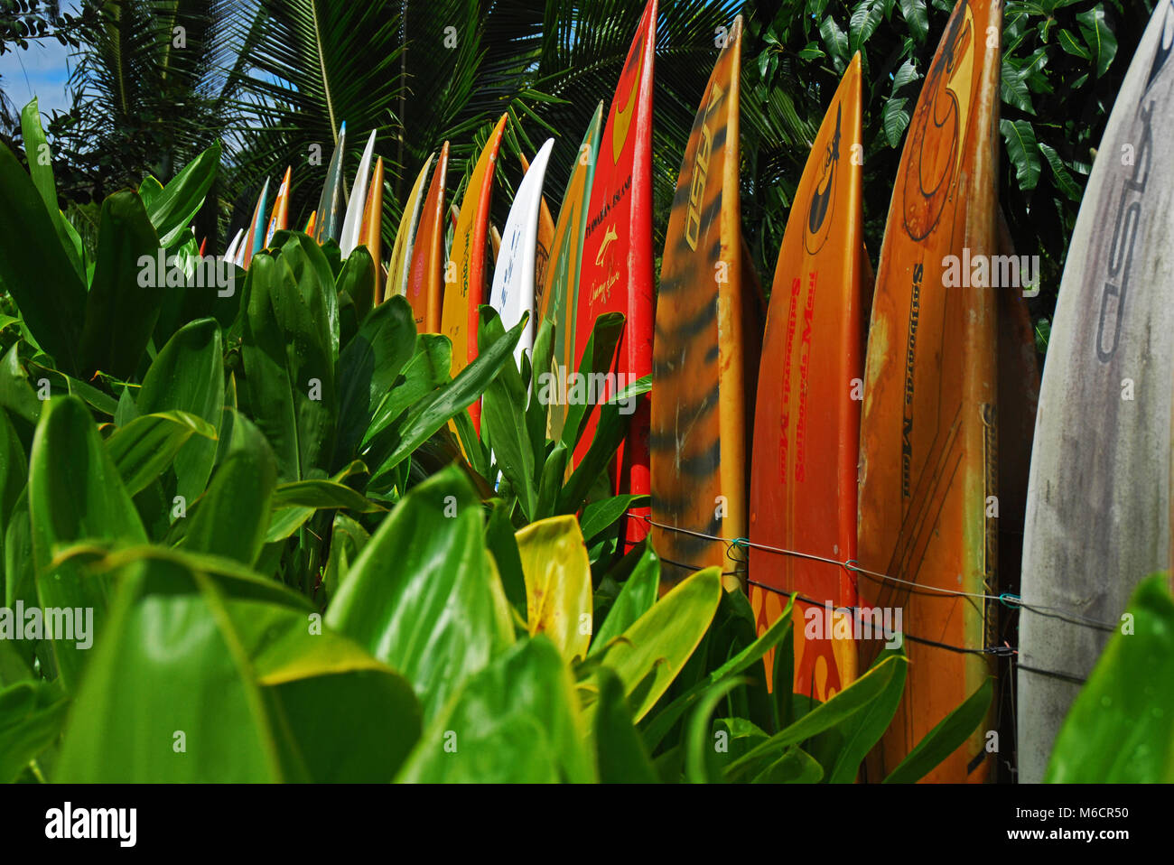 Boardfence in Haiku auf Maui, Hawaii Stockfoto