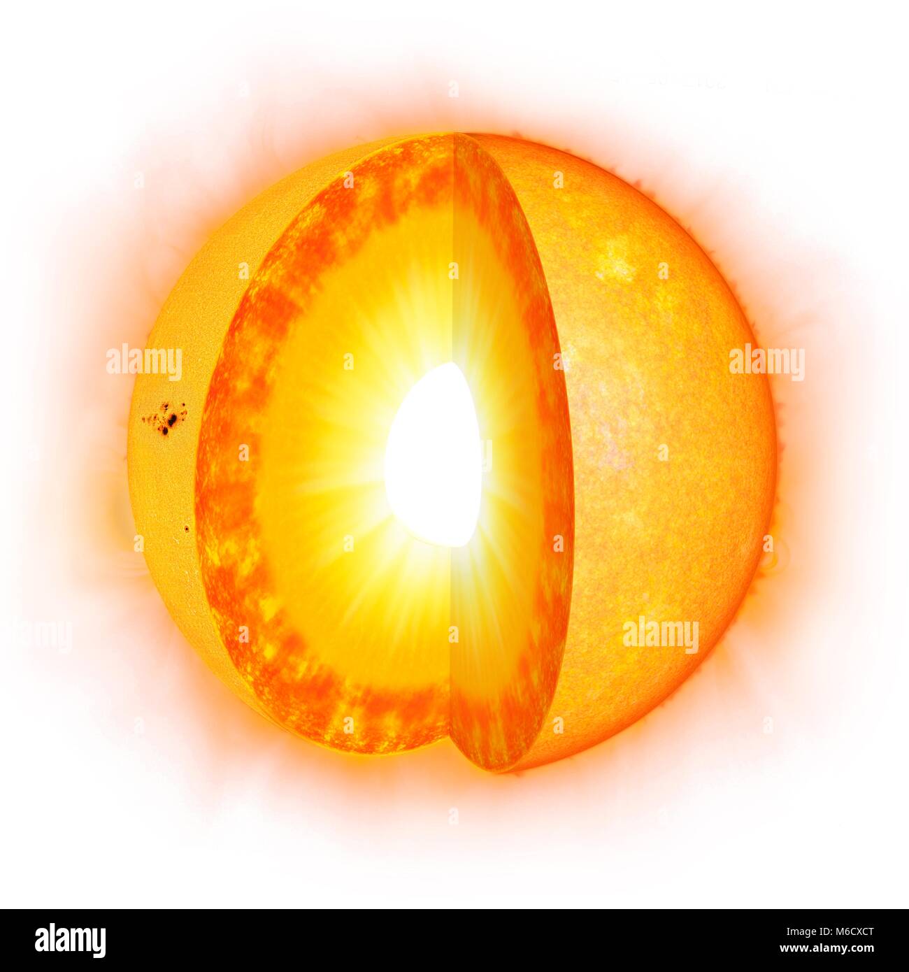 Diagramm, das Innere der Sonne solar Interieur besteht aus einem Kern (30 %) eine radiative Zone außerhalb dieses, und dann einen konvektiven Schicht, die in äußerster Randlage 30% oder so. Schließlich gibt es die Sonne sichtbar urface', genannt die photoshphere. Stockfoto