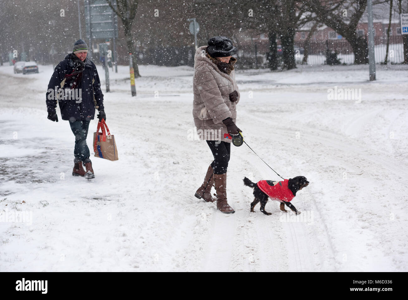 Cardiff, Wales, UK. 2. März 2018. Sturm Emma: Käufer machen es zu Fuß oder 4x4 in Cardiff. Foto: IAN HOMER/Alamy leben Nachrichten Stockfoto