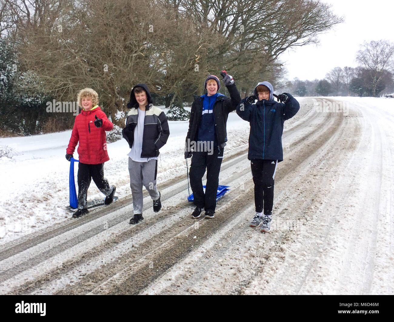 Gruppe von Jungen im Teenageralter mit Schlitten im Schnee nach Sturm Emma, New Forest, Hampshire, England, Großbritannien, 2. März 2018, Wetter. Stockfoto