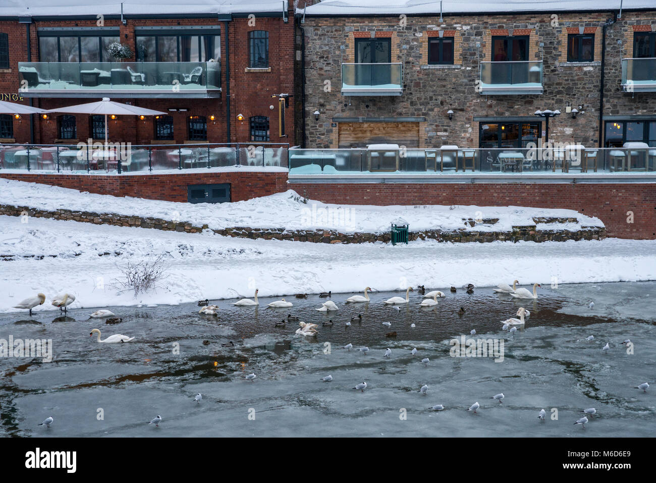 Exeter, Devon, Großbritannien. 2. März 2018. UK Wetter. Schwere Schnee und eisigen Fluss Exe in Exeter. Credit: Sebastian Wasek/Alamy leben Nachrichten Stockfoto
