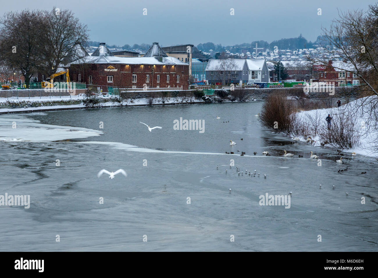 Exeter, Devon, Großbritannien. 2. März 2018. UK Wetter. Schwere Schnee und eisigen Fluss Exe in Exeter. Credit: Sebastian Wasek/Alamy leben Nachrichten Stockfoto