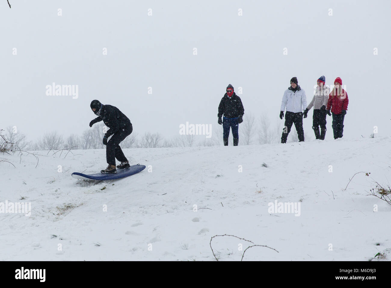 Celbridge, Kildare, Irland. 02 Mär 2018: Jugendliche mit Surf Board nach unten zu schieben Sie die Hügel mit Schnee bedeckt. Tier aus dem Osten durch Sturm Emma gefolgt brachte mehr Schnee und starke Winde in ganz Irland. Stockfoto