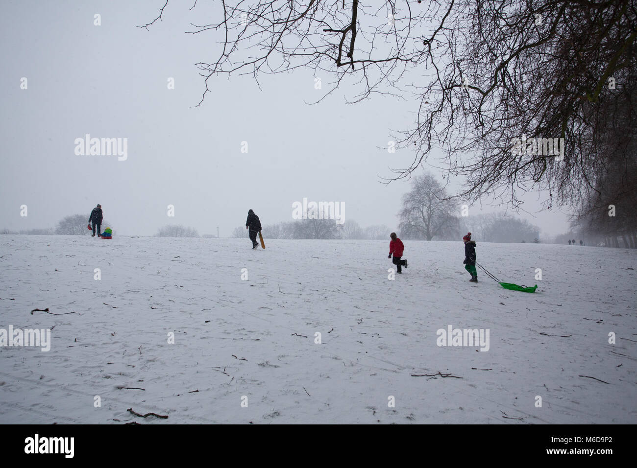 London, Großbritannien. 02/03/2018 London UK schweren Schnee fallen als Tier des Ostens sweeps Britan leadin gbelow Null einfrieren tempretures. Leute den Schnee in Hackney Downs Park East London Kreditkarte geniessen: Emin Ozkan/Alamy leben Nachrichten Stockfoto