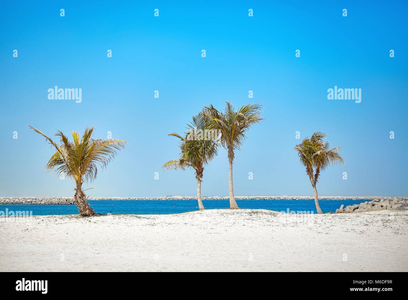 Schöner Strand mit Kokospalmen, Sommerferien Konzept. Stockfoto