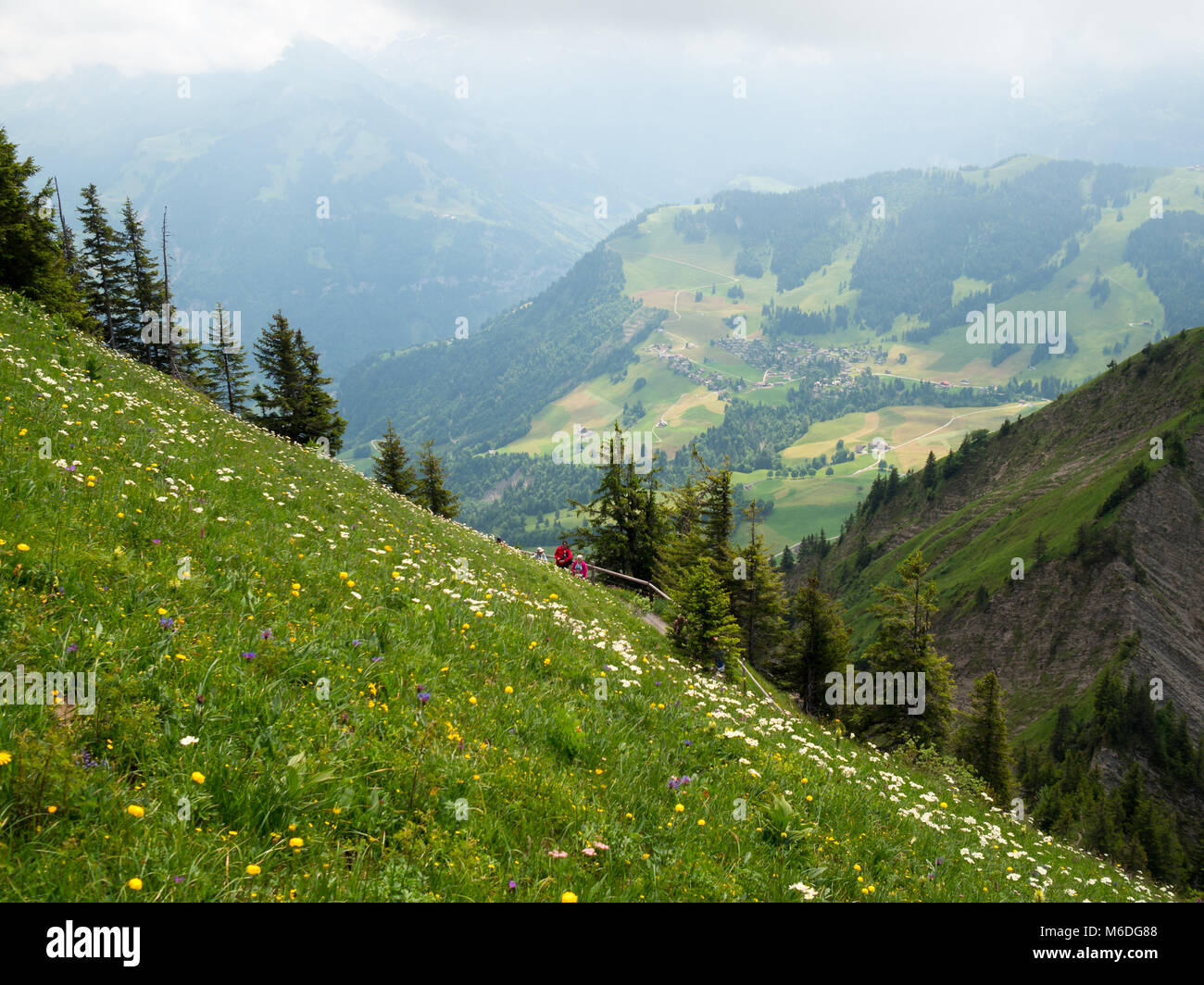 Schweizer Berge Landschaft rund um Stanserhorn Stockfoto