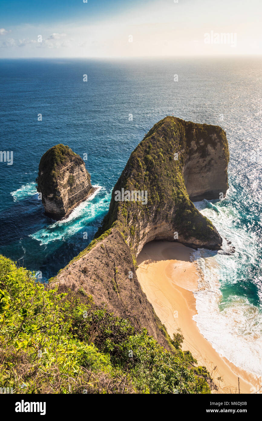 Den berühmten Dinosaurier Replik in den Felsen des Kelingking in Nusa Penida Stockfoto