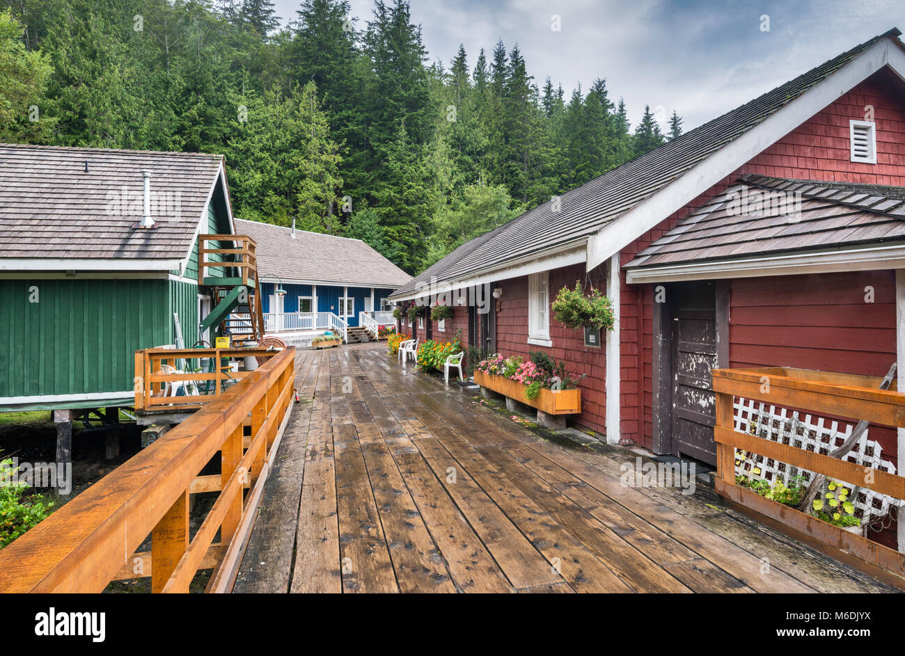 Häuser auf Stelzen, Boardwalk Village bei Telegraph Cove, North Vancouver Island, British Columbia, Kanada Stockfoto
