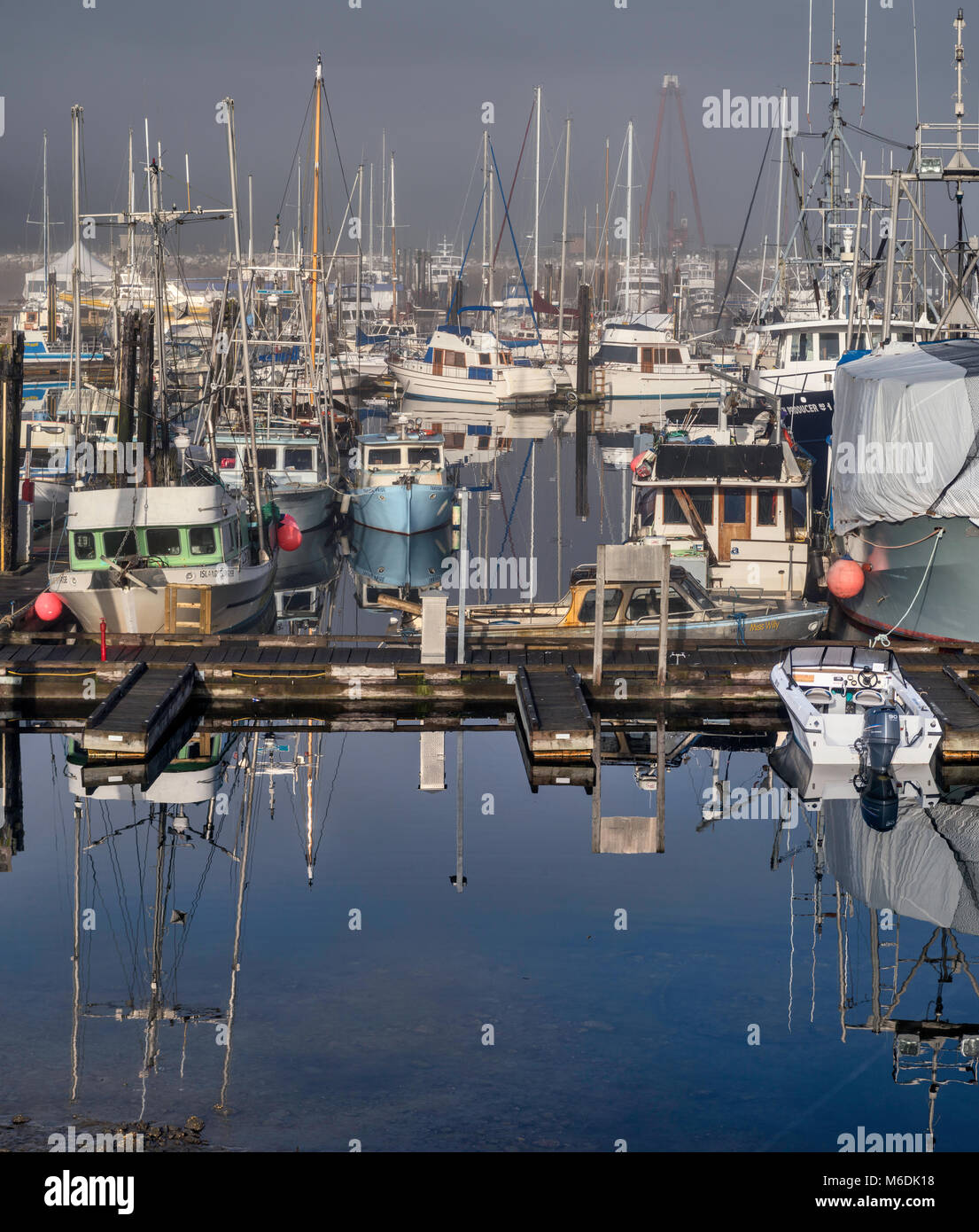 Fischerboote, Morgen, Nebel, an kommunalen Wharf Marina in der Nähe des Fährhafen in Port McNeill, North Vancouver Island, British Columbia, Kanada Stockfoto