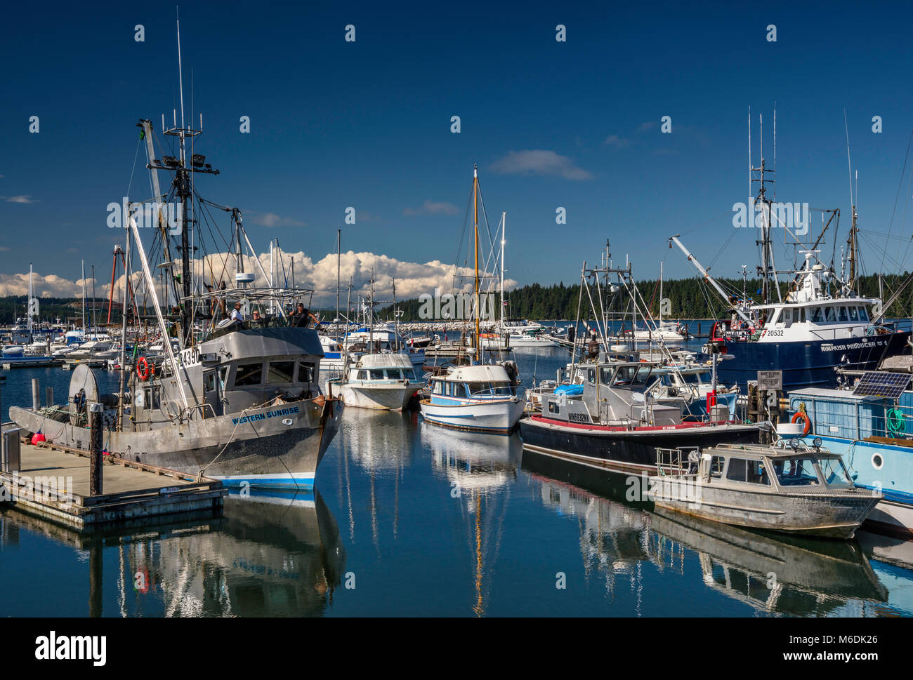 Fischerboote am Städtischen Wharf Marina in der Nähe des Fährhafen in Port McNeill, North Vancouver Island, British Columbia, Kanada Stockfoto