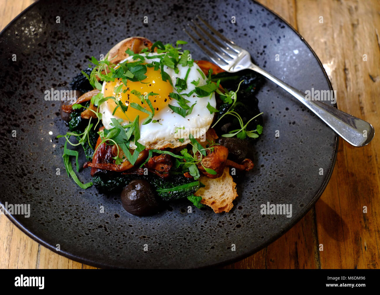 Sautierte Pilze mit Duck Egg, cavolo Nero, Parmesan und mushroom Ketchup an Mannion & Co Küche Restaurant & Café, Helmsley, Yorkshire Stockfoto