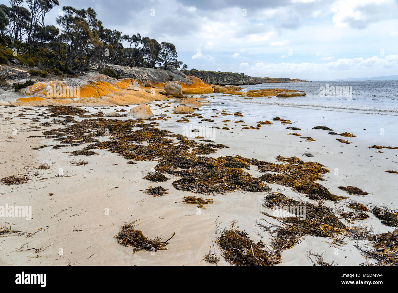 Sandstrand auf Flinders Island, Tasmanien, Australien Stockfoto