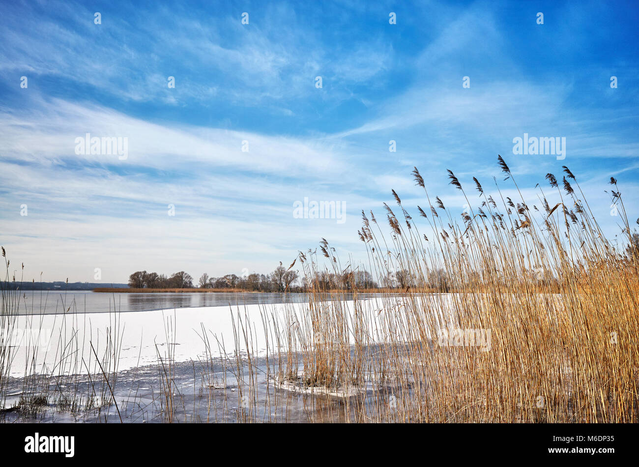 Malerische Winterlandschaft mit trockenen Schilf durch einen zugefrorenen See. Stockfoto