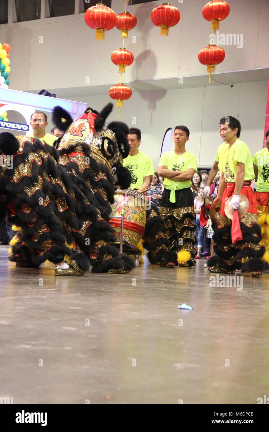 Chinesische Löwe während der Performance Stockfoto