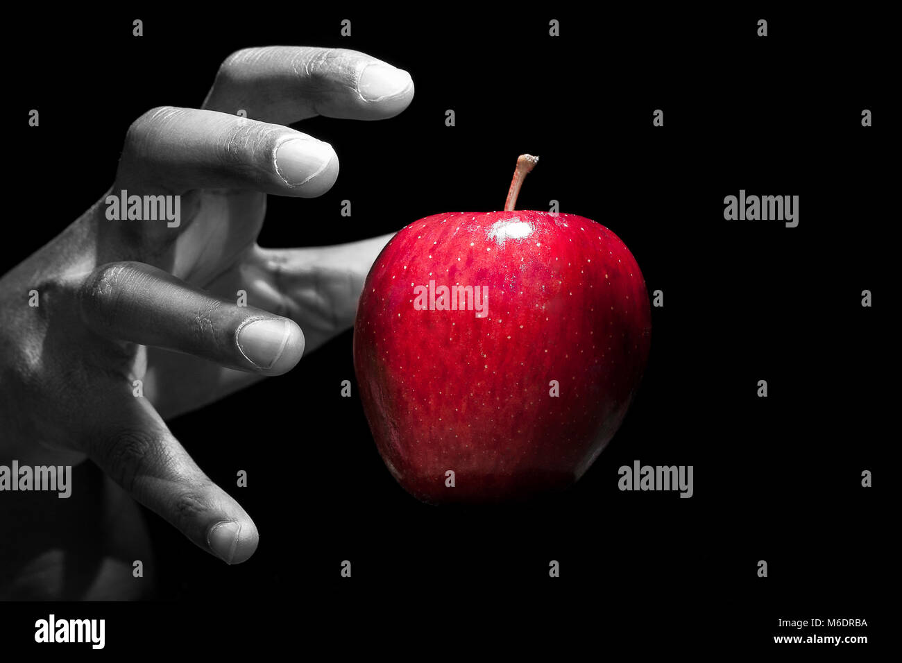 Hand erreichen für einen roten Apfel in schwarzer Hintergrund Stockfoto