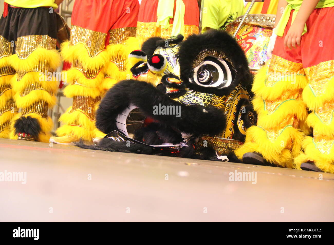 Chinesische Löwen Stockfoto