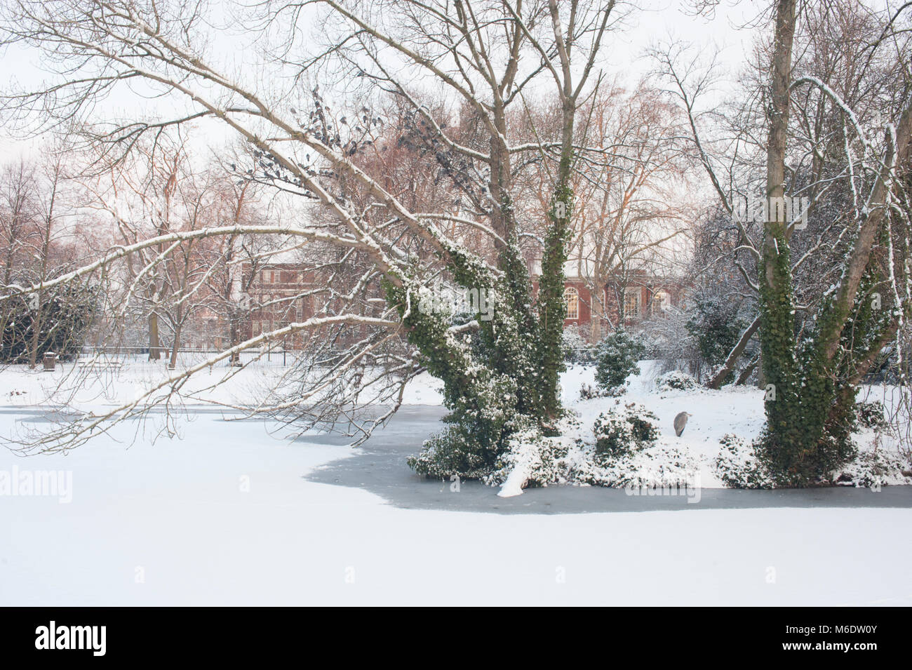 Regents Park im Winter Schneefall, (Februar 2018), London, Vereinigtes Königreich Stockfoto