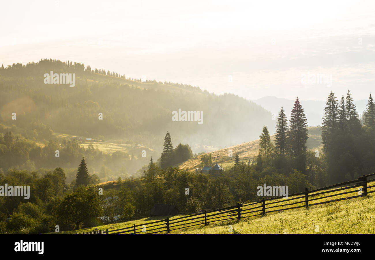 Ländliche Landschaft mit reichhaltigen bunten Sommer oder Herbst die Natur in den frühen Morgenstunden Stockfoto