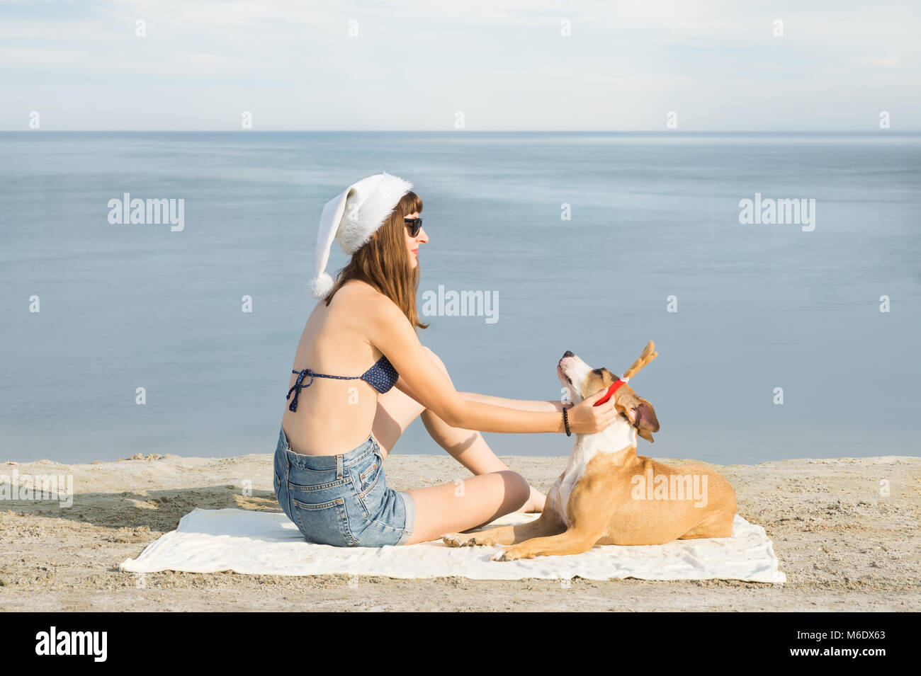 Junge weibliche Person im Bikini und Santa Claus Hut sitzt am Strand und  setzt auf Rentier Hörnern auf ihrem Staffordshire Terrier Hund  Stockfotografie - Alamy