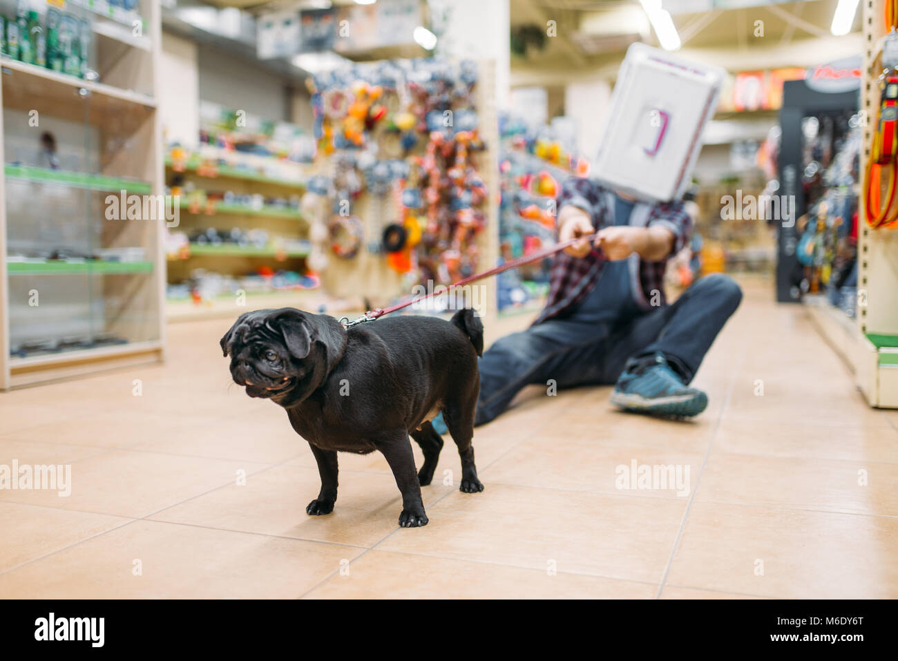 Vater Spaß mit Hund in Pet Shop. Familie beschließt, Zubehör in petshop, Pflege für Haustiere Stockfoto