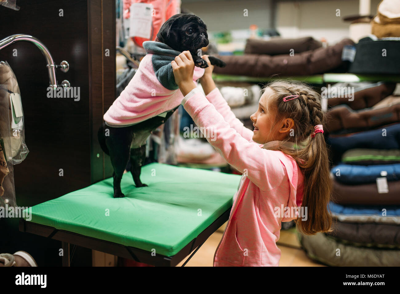 Kleines Mädchen Versuchen auf Kleidung für Welpen in Pet Shop. Kid Kunden kaufen Hunde insgesamt in petshop, für den inländischen Tiere Stockfoto