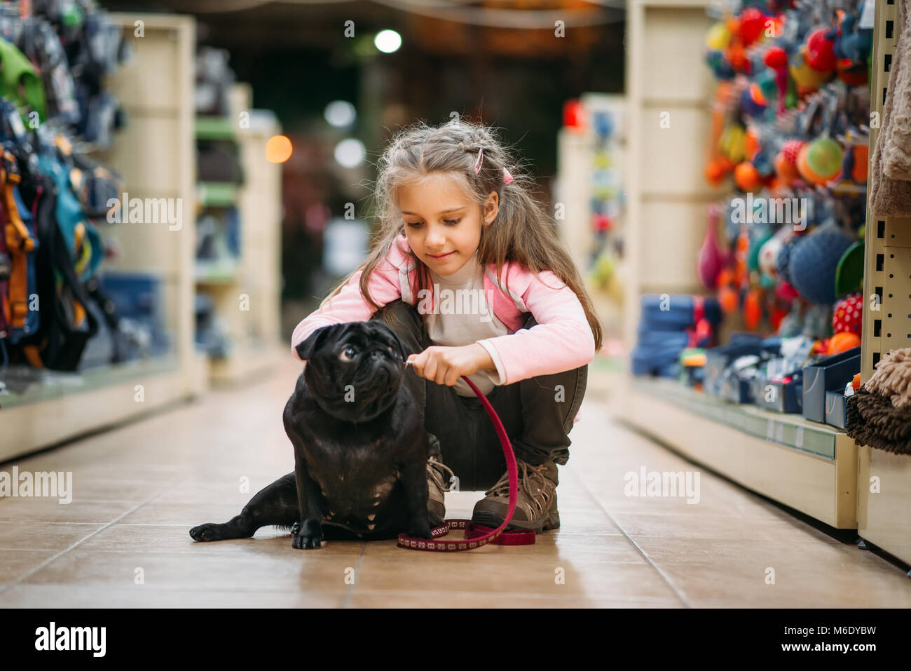 Kleines Mädchen wählt Haus für Welpen in Pet Shop. Kind spielt in petshop, für den inländischen Tiere Stockfoto