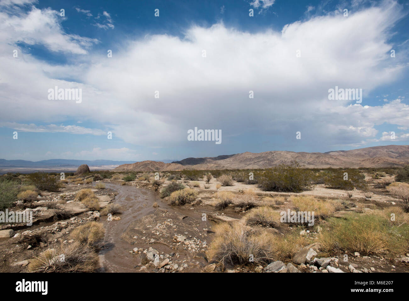 Überschwemmung in der Nähe von Eingang Nord, 82615. Stockfoto