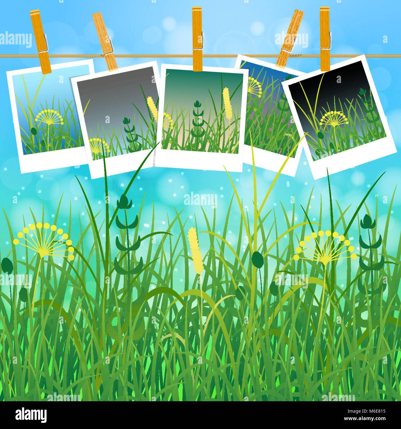 Konzept Sommer. Himmel, Blur, Field Grass. Sommer Fotos auf Wäscheklammern auf einem Seil. Sie können Ihre Fotos einfügen Stock Vektor