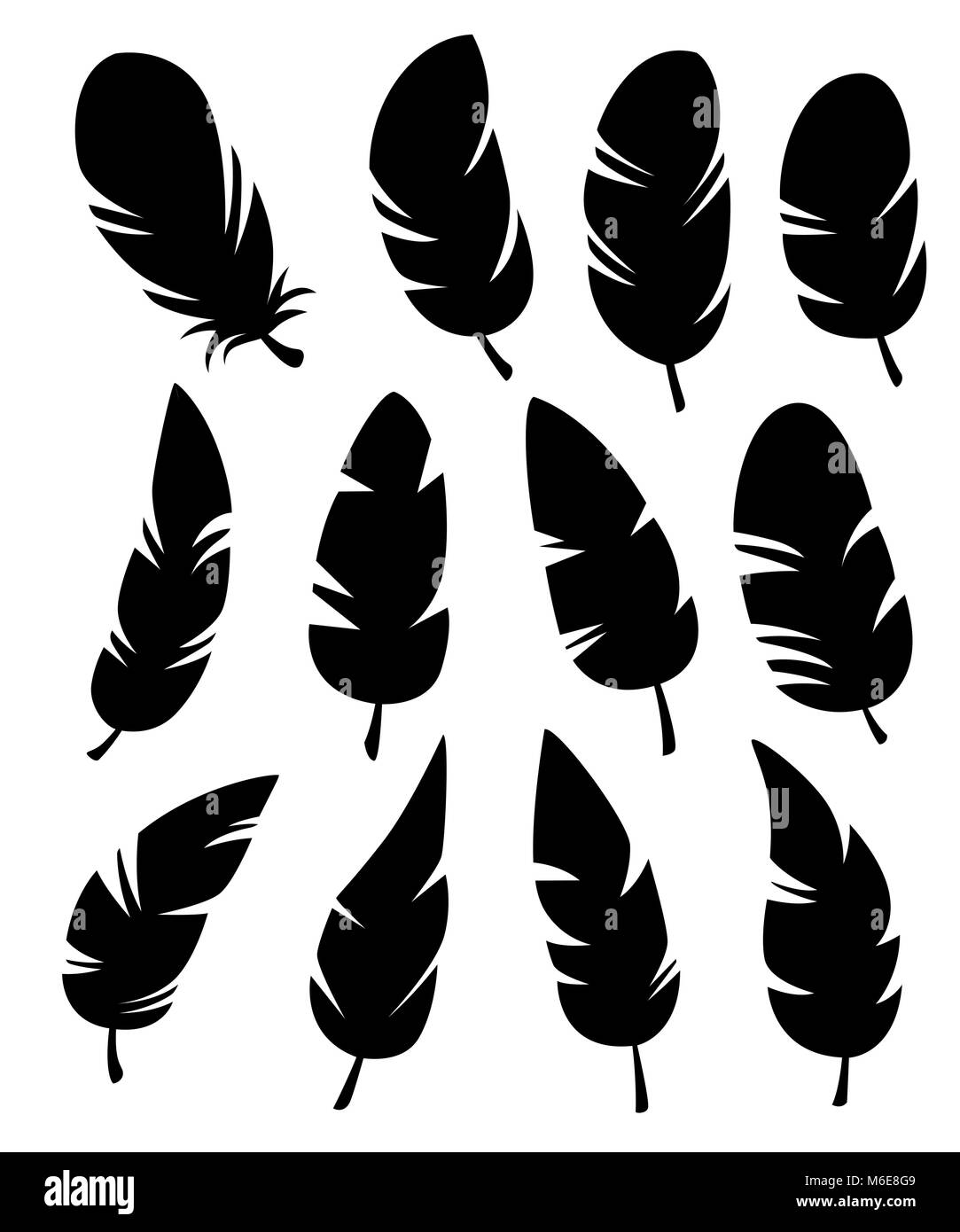 Federn in verschiedenen Formen Vektor in einem flachen Stil. Symbole Federn auf einem weißen Hintergrund. Sammlung von Silhouetten der schwarzen Federn Stock Vektor