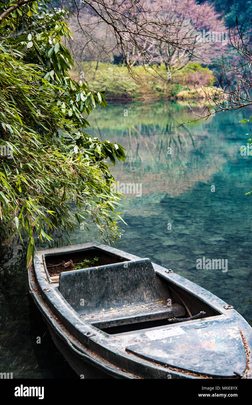 Ein altes hölzernes Ruderboot sitzt entlang dem Ufer von einem hellen grünen Lagune in China. Helle Farben im Überfluss. Stockfoto
