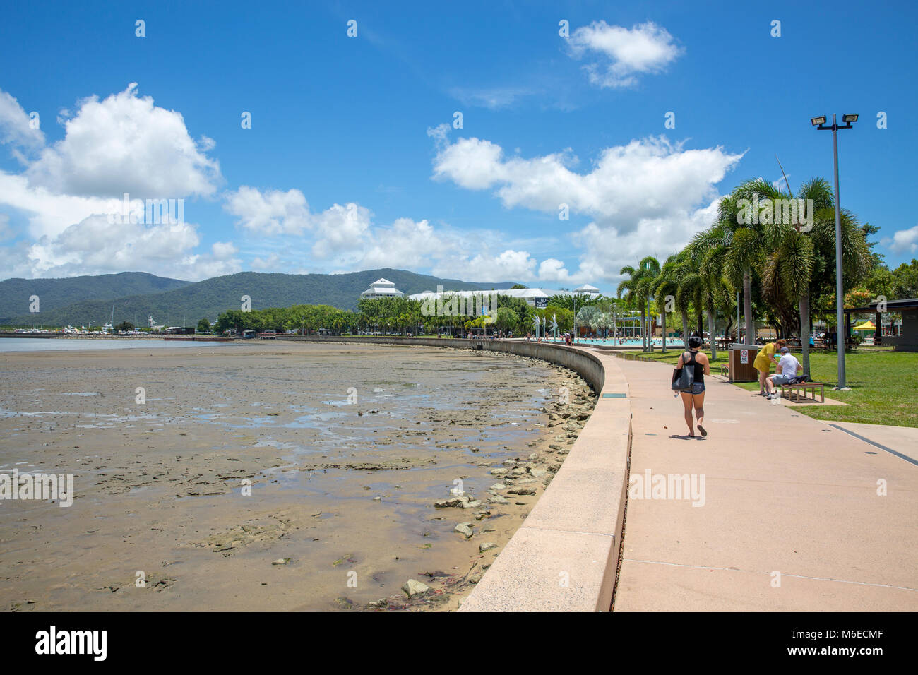 Die Promenade und das Meer in der Stadt Cairns, Far North Queensland, Australien Stockfoto