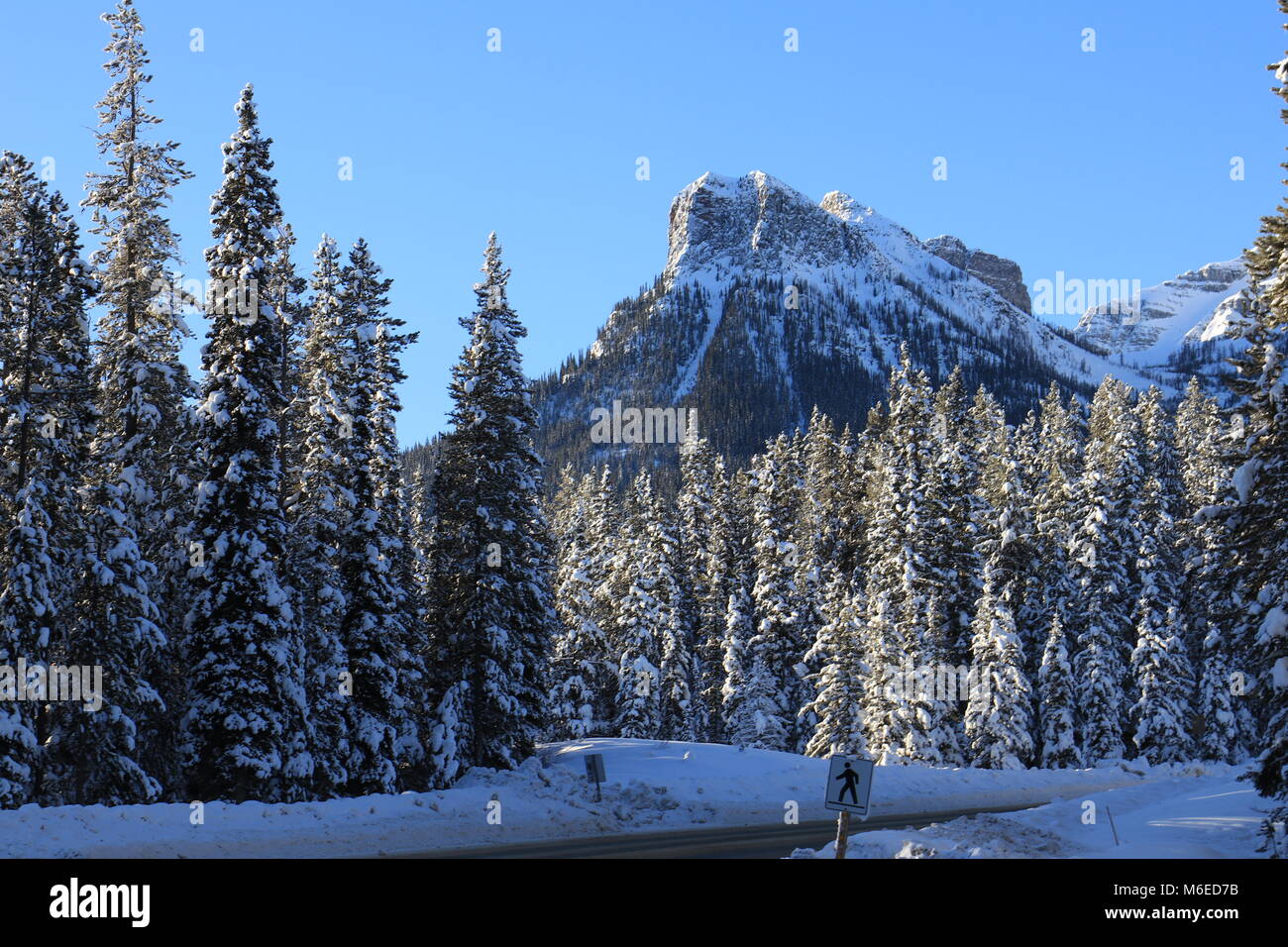 Foggy Winterlandschaft in Kanada Stockfoto
