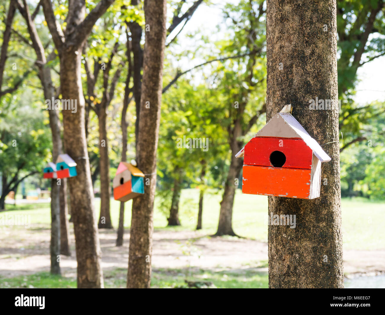 Bunter Vogel Häuser im Park an einen Baum, der Vogel Haus an verschiedenen Stellen platziert wurde. birdhouse Wald mit vielen bunten Vogel Haus Stockfoto