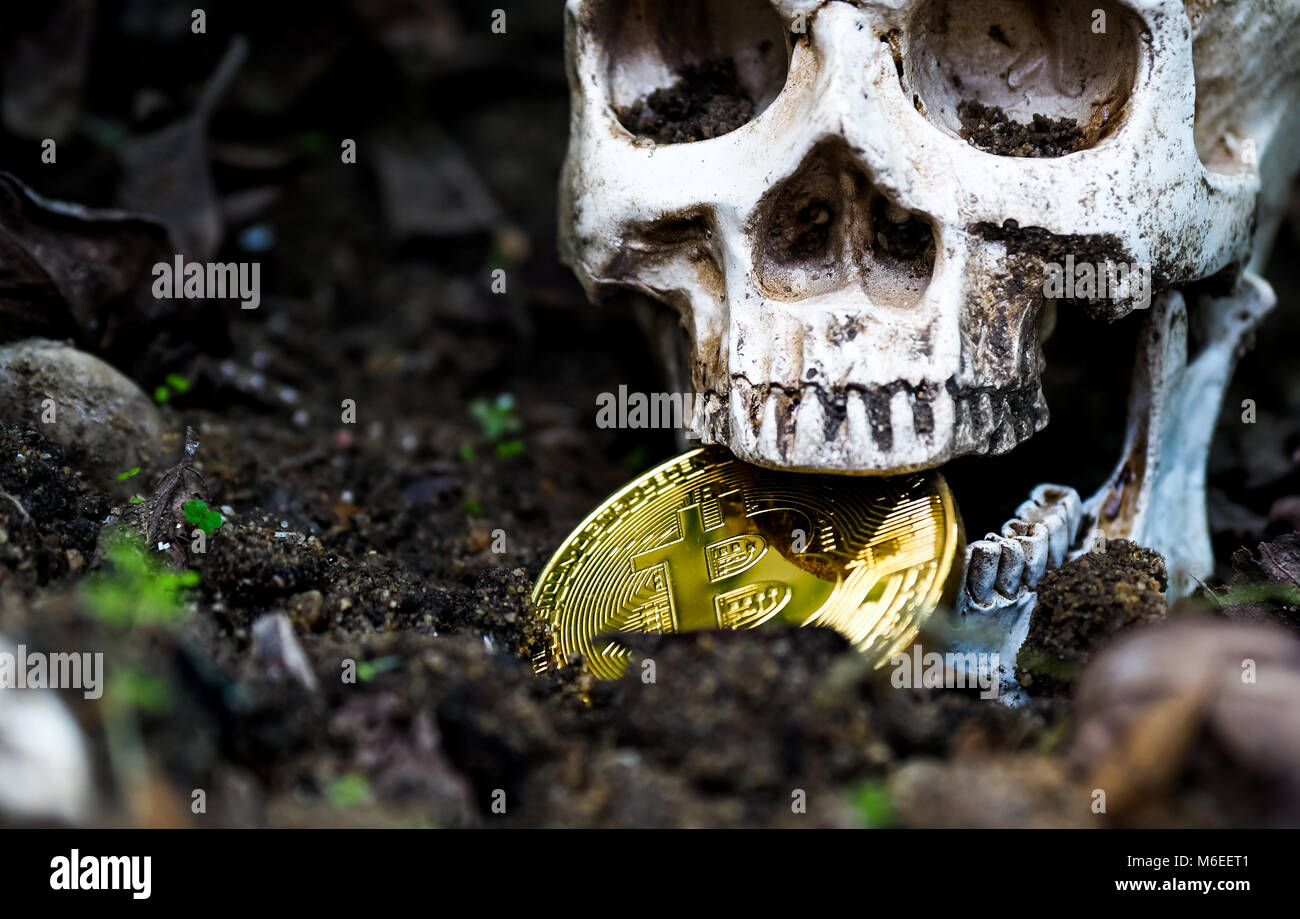 Nahaufnahme von Schädel beißen Bitcoin im trockenen Blätter auf dem Boden und der Seite des Schädels und des Goldenen bitcoin. Das Konzept der Investition und Fl Stockfoto