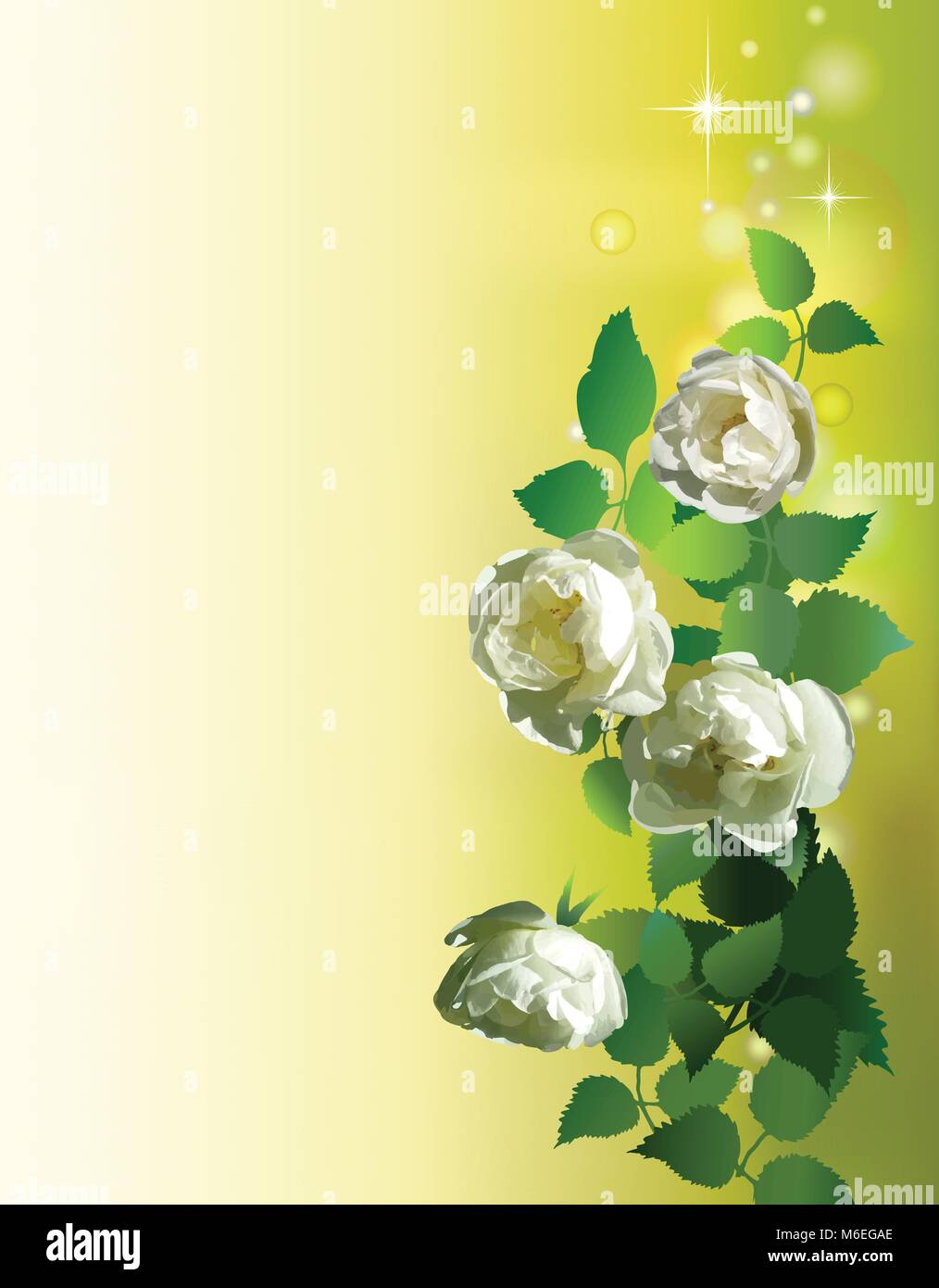 Grußkarten mit Frühling Blumen. Valentines Tag card Design. Hintergrund für Grußkarten, Hochzeitseinladungen Stock Vektor