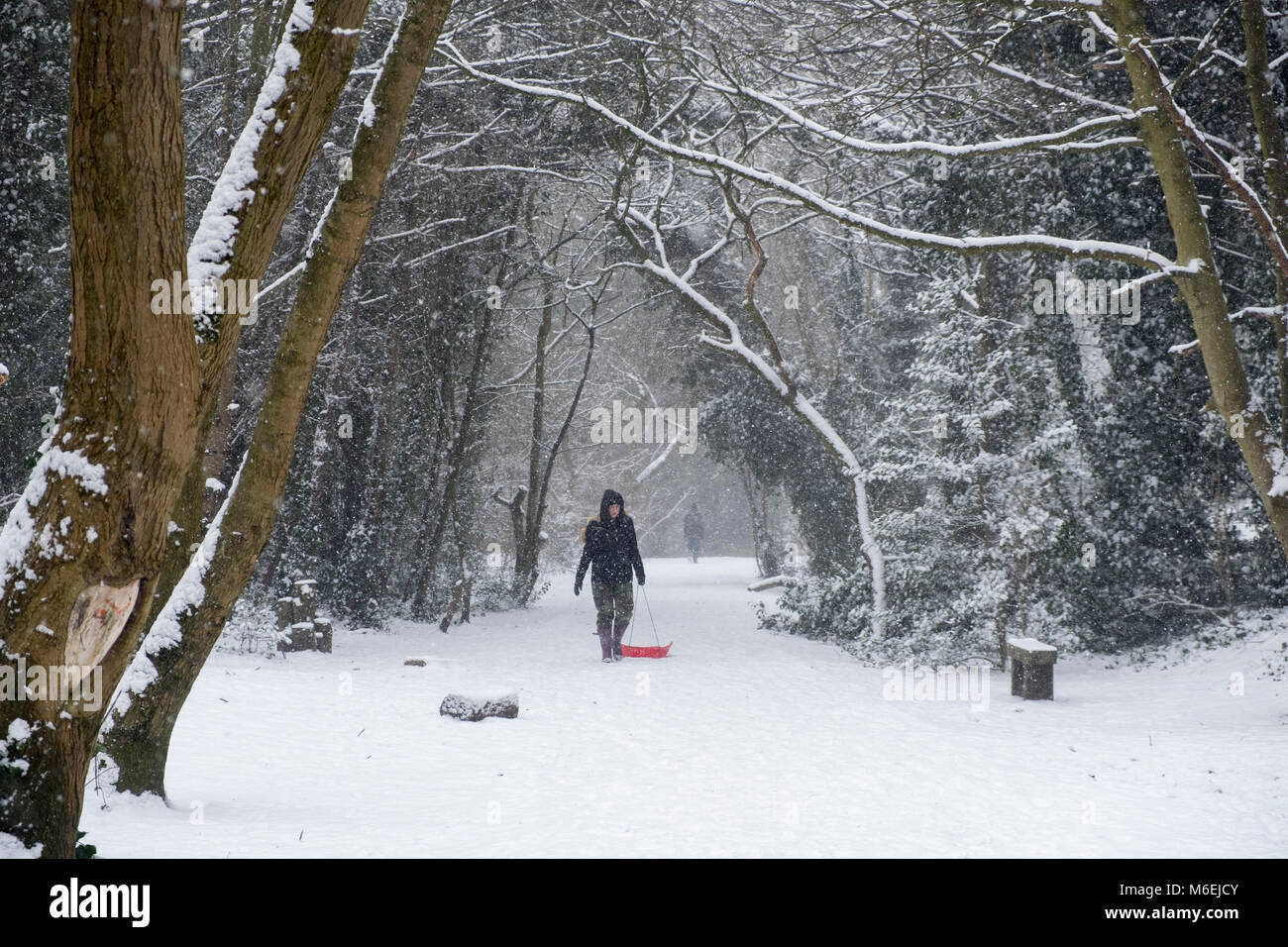 Ein junges Mädchen mit einem Schlitten auf den Wald Weg zwischen Muswell Hill und Alexandra Palace, London, die während der "Tier aus dem Osten' kaltem Wetter, Ende Februar und Anfang März 2018 Stockfoto