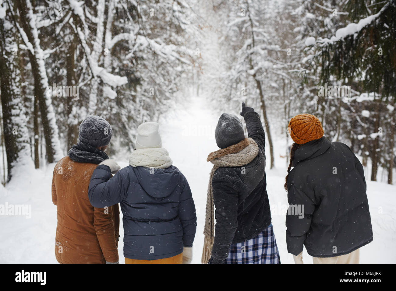 Spaziergang im Winter Wald Stockfoto