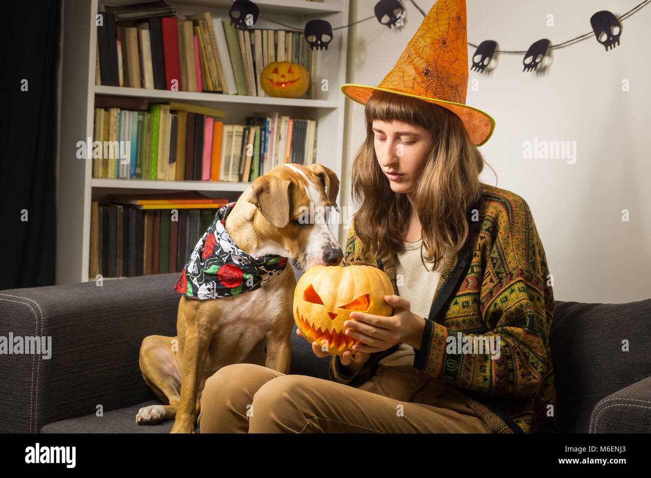Junge Frau im Innenbereich mit Welpe hält einen geschnitzten Halloween pumpking in Händen und pet ist neugierig und lustig über es Stockfoto