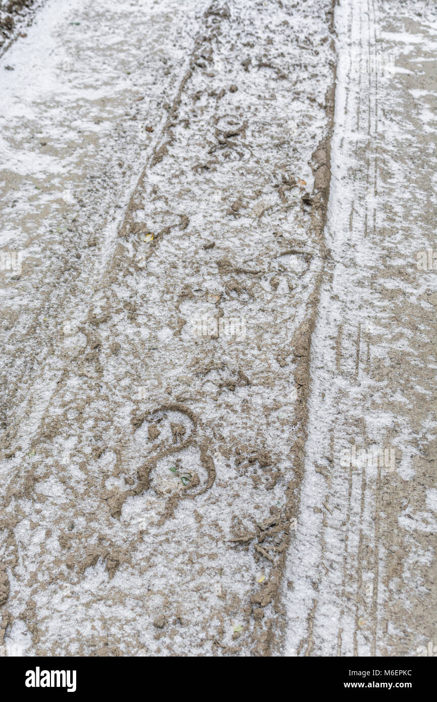 Schnee bestäubt horse Tracks/Huf druckt in gefrorenen Schlamm. Stockfoto