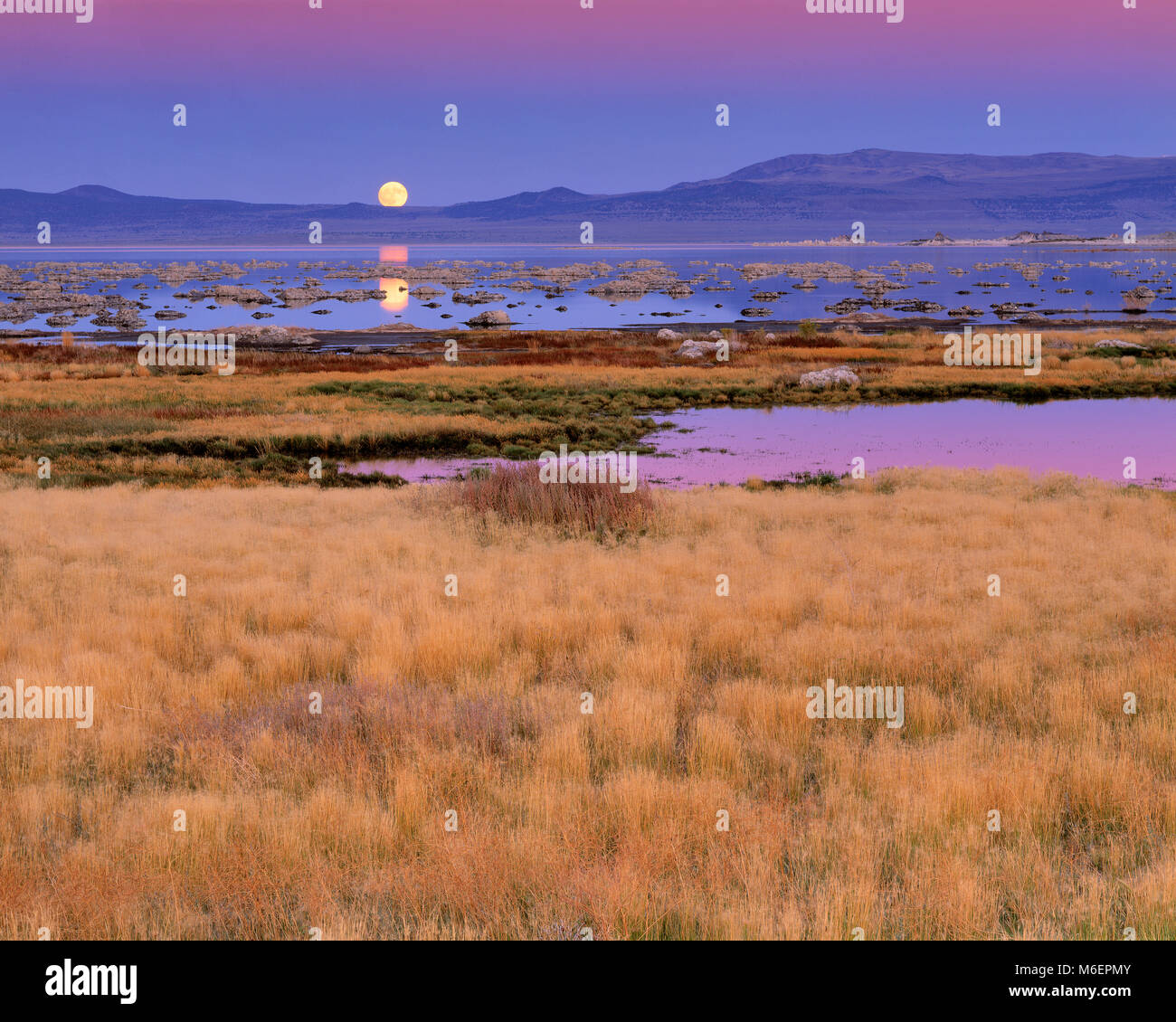 Mondaufgang, Mono Lake, Mono Basin National Forest Scenic Area, Inyo National Forest, Kalifornien Stockfoto