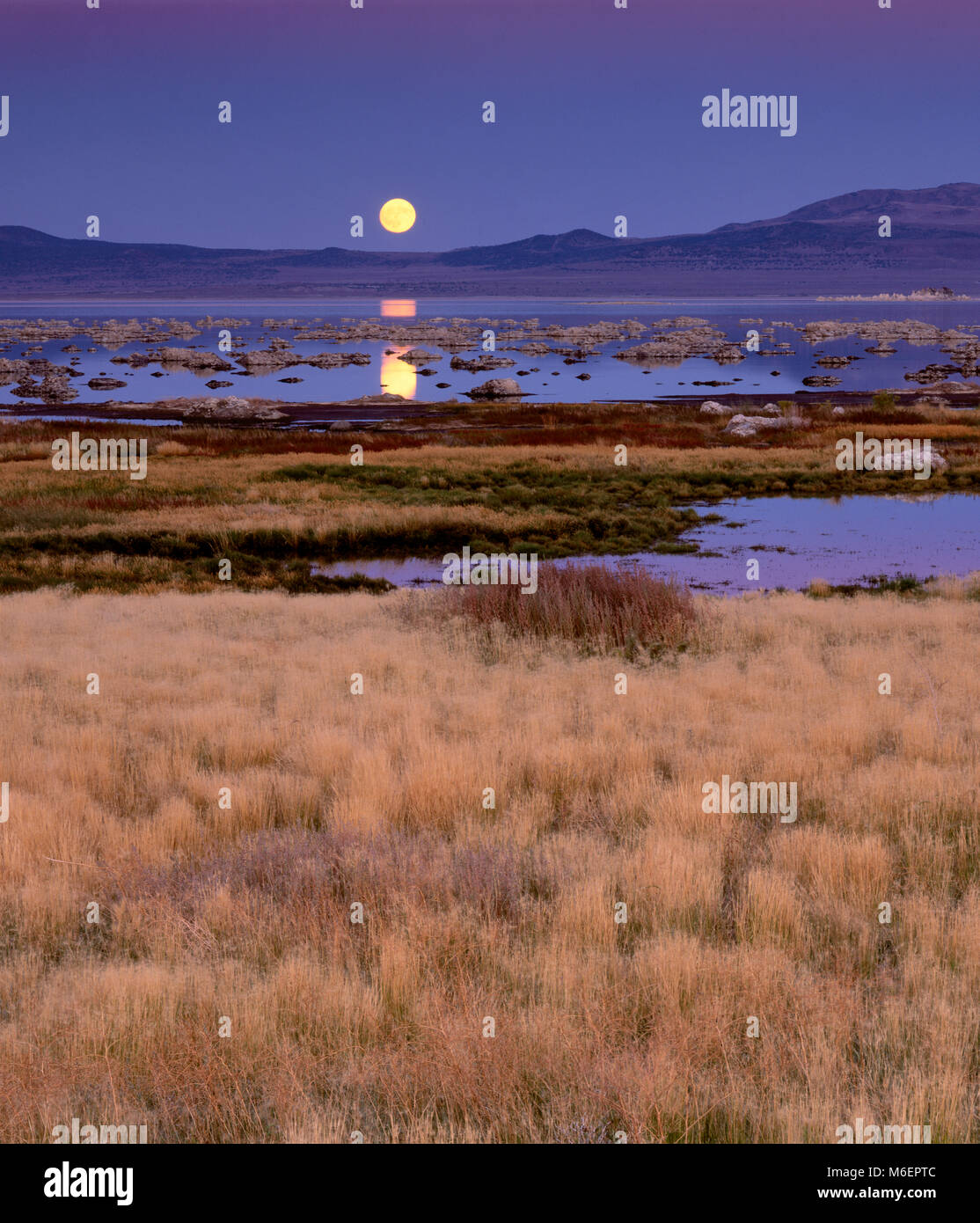 Mondaufgang, Mono Lake, Mono Basin National Forest Scenic Area, Inyo National Forest, Kalifornien Stockfoto