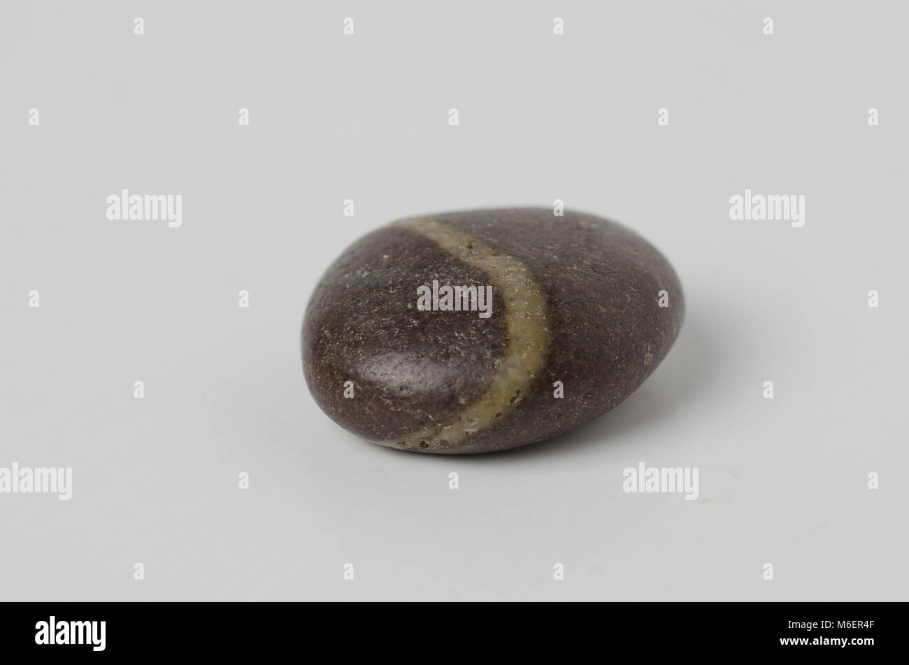 Eine gemeinsame Menge an verschiedenen harten Kern der Steine aus dem Garten und in einem Still life Umwelt fotografiert. Stockfoto