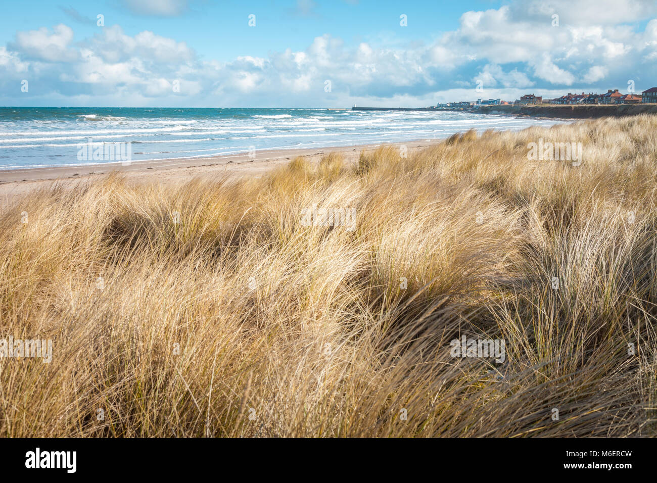 Blick über den Strand von Dünen an der Küste von Northumberland, Großbritannien Stockfoto