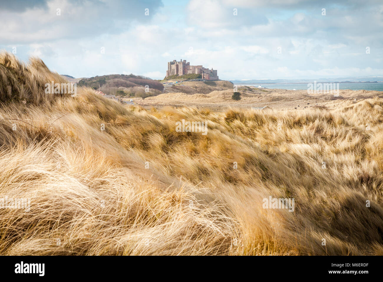 Anzeigen von Bamburgh Castle aus dem grasbewachsenen Dünen Northumberland, Großbritannien Stockfoto