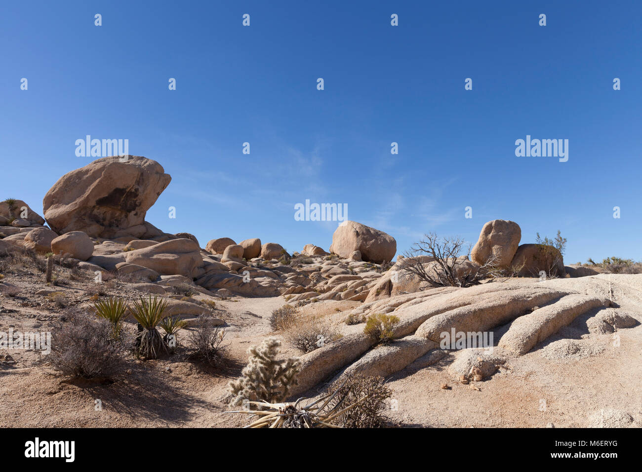 Joshua Tree National Park, Kalifornien: Felsformationen entlang Arch Rock Trail in den weißen Tank. Stockfoto