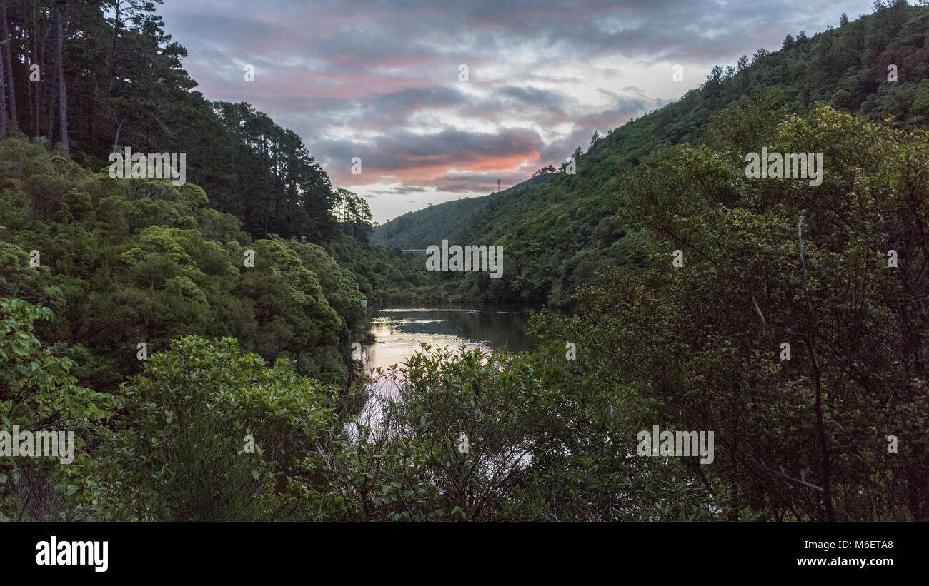 Zealandia Wildlife Park, Wellington, Neuseeland Stockfoto