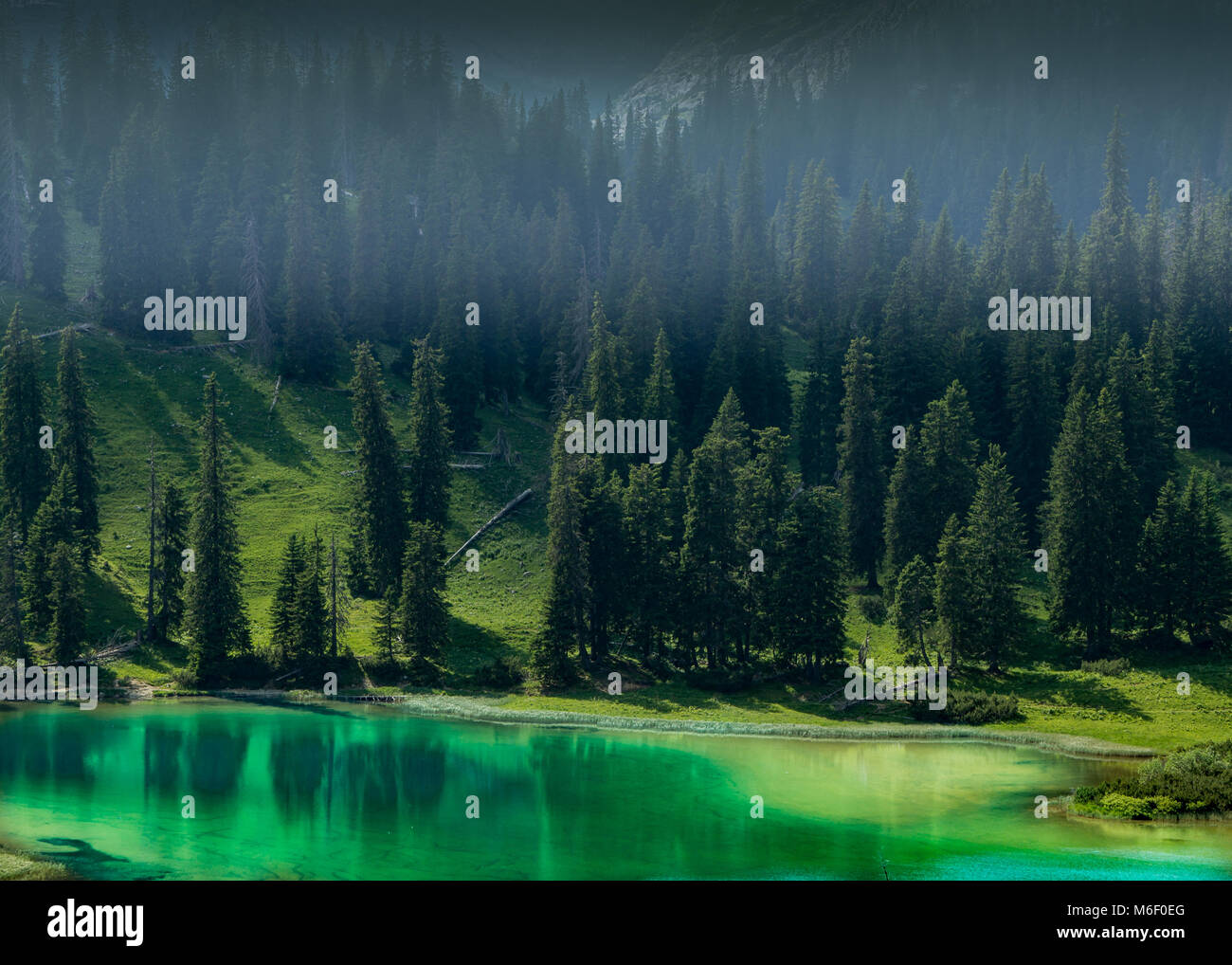 Pulsierende grüne Alpensee mit Fichten und Kiefern Wald wächst an seinen Ufern Stockfoto