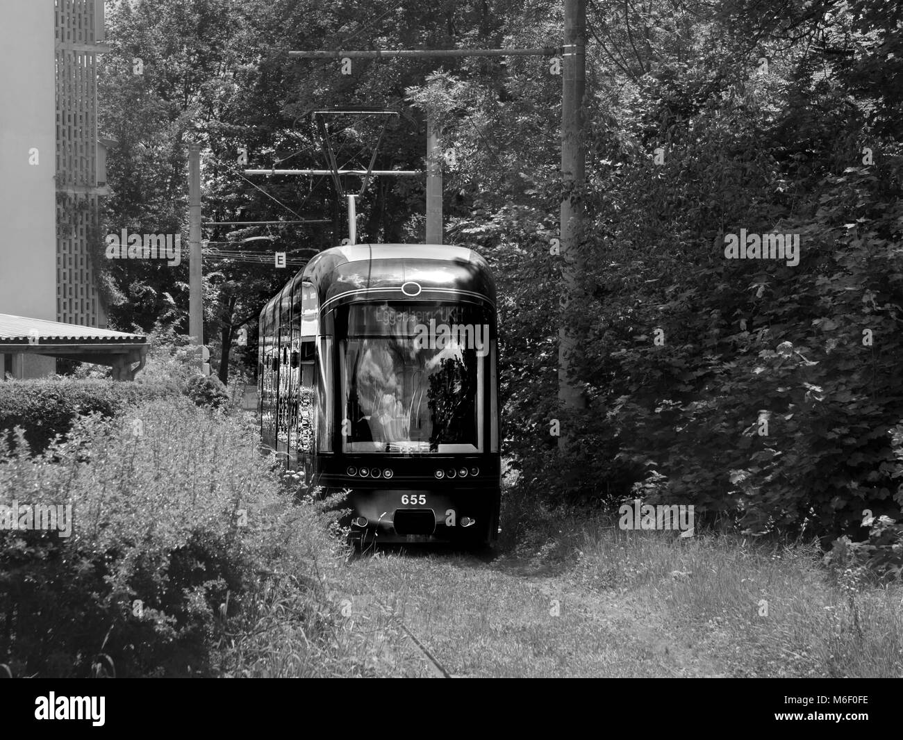 Schwarze und weiße Schuß einer Straßenbahn seine Weise durch einen Patch von Vegetation in der Stadt Graz Stockfoto