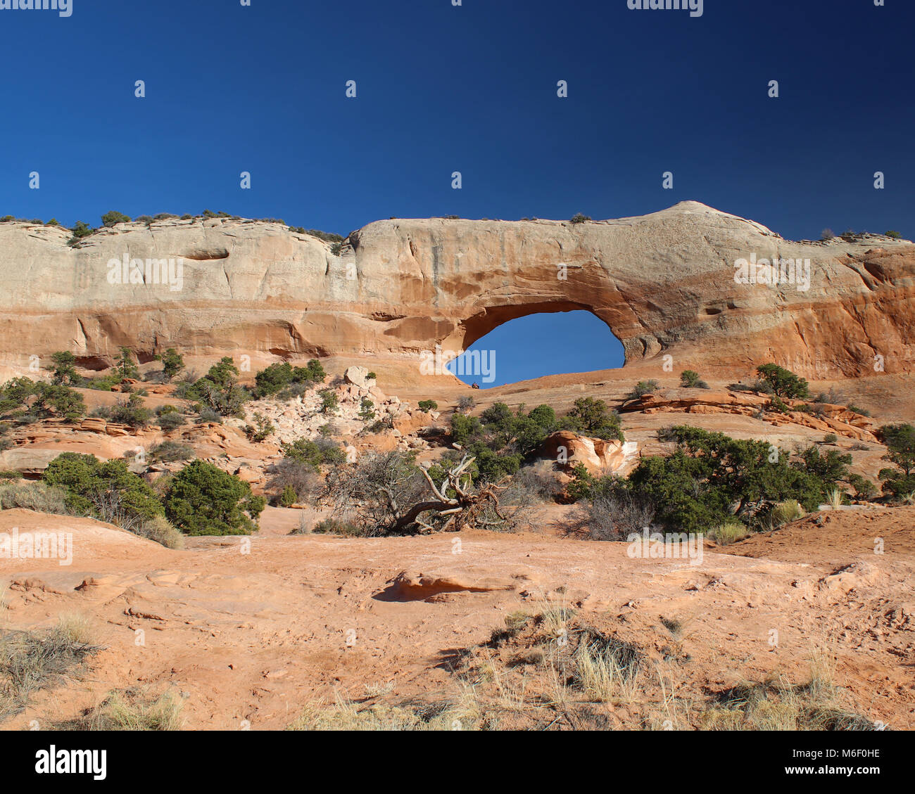 Felsige Landschaften in Utah Stockfoto